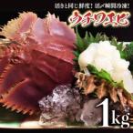 fu.... налог ..uchiwa креветка 6~10 шт 1000g комплект < ограниченное количество > S209 [ акционерное общество лес море дом ] Kochi префектура Восток блок 