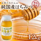 純 土佐のみかん山のはちみつ TA20