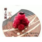 梅干し 計600g
