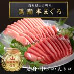 大トロ 中トロ 赤身 訳あり 約400g