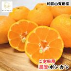 極甘 柑橘 有田育ちの濃厚 ポンカン 3kg