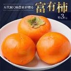 サイズおまかせ 西垣農園 富有 柿 約3kg