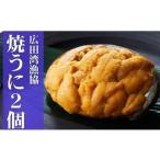 ふるさと納税 広田湾漁協からお届け!焼きウニ2個【ミョウバン不使用】RT938 岩手県陸前高田市