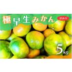 みかん 極早生みかん 約5kg