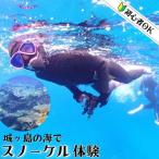 三浦半島城ヶ島でボートファンダイビング