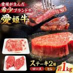 ステーキ 食べ比べ ロース ヒレ 2人前