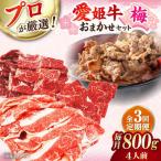 牛肉 定期便 店主におまかせ旬セット