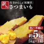 ふるさと納税 【2025年11月下旬より順次発送】【訳あり】行方かんしょ「紅優甘」さつまいも約5kg(洗い・不揃い)｜さつまいも サツマイモ さつま.. 茨城県行方市