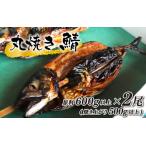 丸焼き鯖 原料600g以上 焼き上がり500g以上