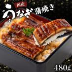 うなぎ蒲焼 合計480g