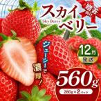 スカイベリー 向け 約560g