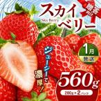 スカイベリー 向け 約560g