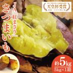 天皇杯受賞 JA 紅まさり さつまいも 約5kg