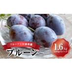 ショッピングふるさと納税 先行予約 ふるさと納税 【先行予約：2026年9月上旬以降発送】フルーツ王国余市産「プルーン」 400g×4パック【ニトリ観光果樹園】_Y074-0159 北海道余市町