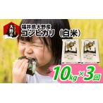 大野産コシヒカリ 白米 10kg