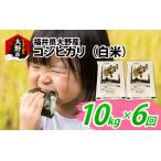 大野産コシヒカリ 白米 10kg