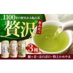 亀山茶ふるさとセット 深蒸煎茶 かぶせ茶