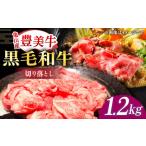 切り落とし 切り落とし1.2kg 切り落とし1200g