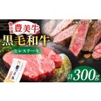 ヒレステーキ300g ヒレステーキ ヒレ