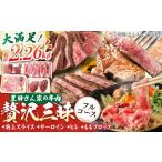 贅沢三昧フルコース 豊田畜産 牛肉 セット