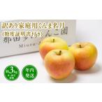 ふるさと納税 【レビューキャンペーン】年内発送 【訳あり】家庭用ぐんま名月約3kg(糖度証明書付き) 【那由多のりんご園・平川市産】 りんご .. 青森県平川市