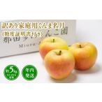 ふるさと納税 年内発送 【訳あり】家庭用ぐんま名月約5kg(糖度証明書付き) 【那由多のりんご園・平川市産】 青森県平川市