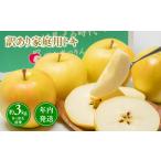 ふるさと納税 【レビューキャンペーン】年内発送 【訳あり】家庭用 トキ 約3kg【那由多のりんご園・平川市産】りんご リンゴ 林檎 りんご 青森 .. 青森県平川市