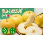 ふるさと納税 【レビューキャンペーン】年内発送 【訳あり】家庭用 トキ 約5kg【那由多のりんご園・平川市産】りんご リンゴ 林檎 りんご 青森 .. 青森県平川市