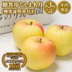 りんご ぐんま名月 約3kg