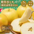 りんご トキ 約5kg