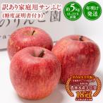 りんご サンふじ 約5kg