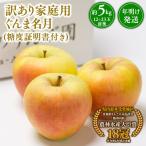 りんご ぐんま名月 約5kg