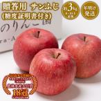 りんご サンふじ 約3kg