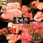 牛肉 定期便 4回 宮崎牛 バラエティBコース セット