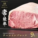 常陸牛 A5 等級 サーロイン ブロック 9kg