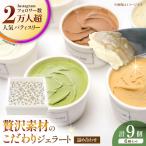 ジェラート9個セット アイス ジェラート