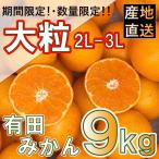 有田みかん 大玉 大粒 9kg
