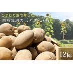 じゃがいも 12kg