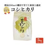コシヒカリ 棚田米 精米 5kg