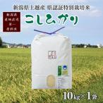 コシヒカリ 上越産特別栽培米 精米10kg