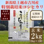 特別栽培米 コシヒカリ 上越産 玄米 2kg