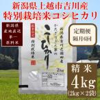 特別栽培米 コシヒカリ 上越産 精米 4kg