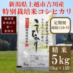 特別栽培米 コシヒカリ 精米5kg