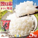 あいちのかおり 白米 5kg
