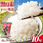 あいちのかおり 白米10kg 特別栽培米