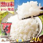 あいちのかおり 白米 20kg