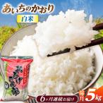 あいちのかおり 白米 5kg×6か月