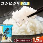 コシヒカリ 白米 5kg×6か月