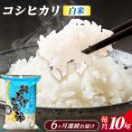 コシヒカリ 白米 10kg×6か月