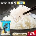 コシヒカリ 白米 10kg×12か月
